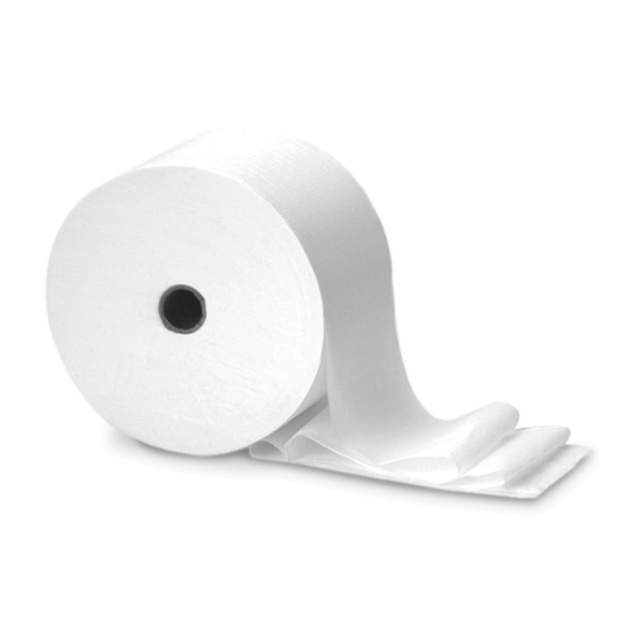 TOILET TISSUE CORELESS PR470 - 756193